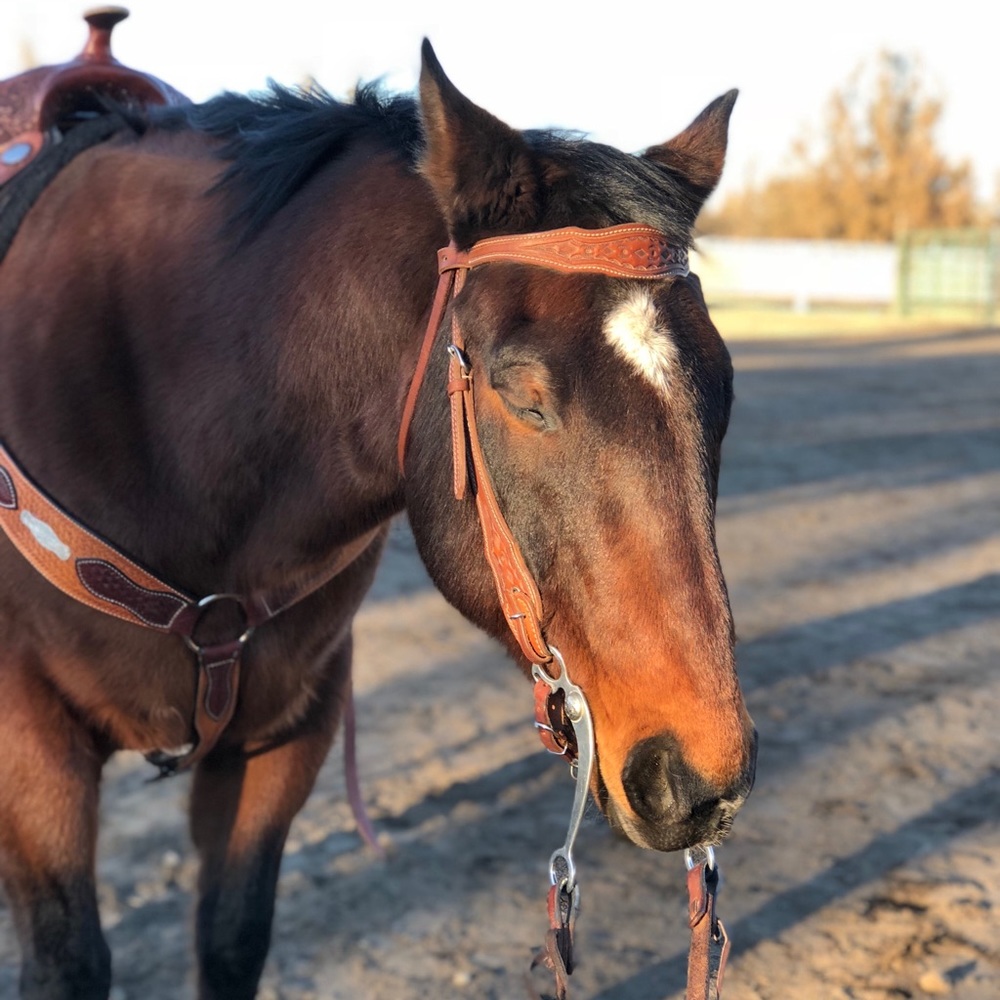 Meet your Posher, Lilly